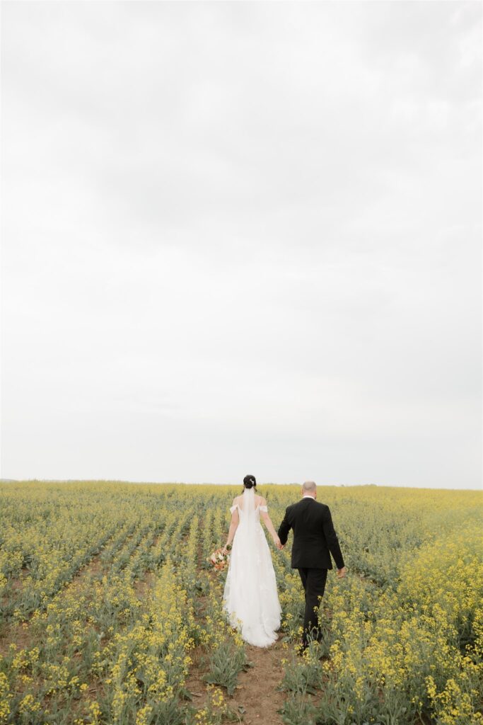 luxurious wedding photography of bride and groom posing in a field in saskatoon