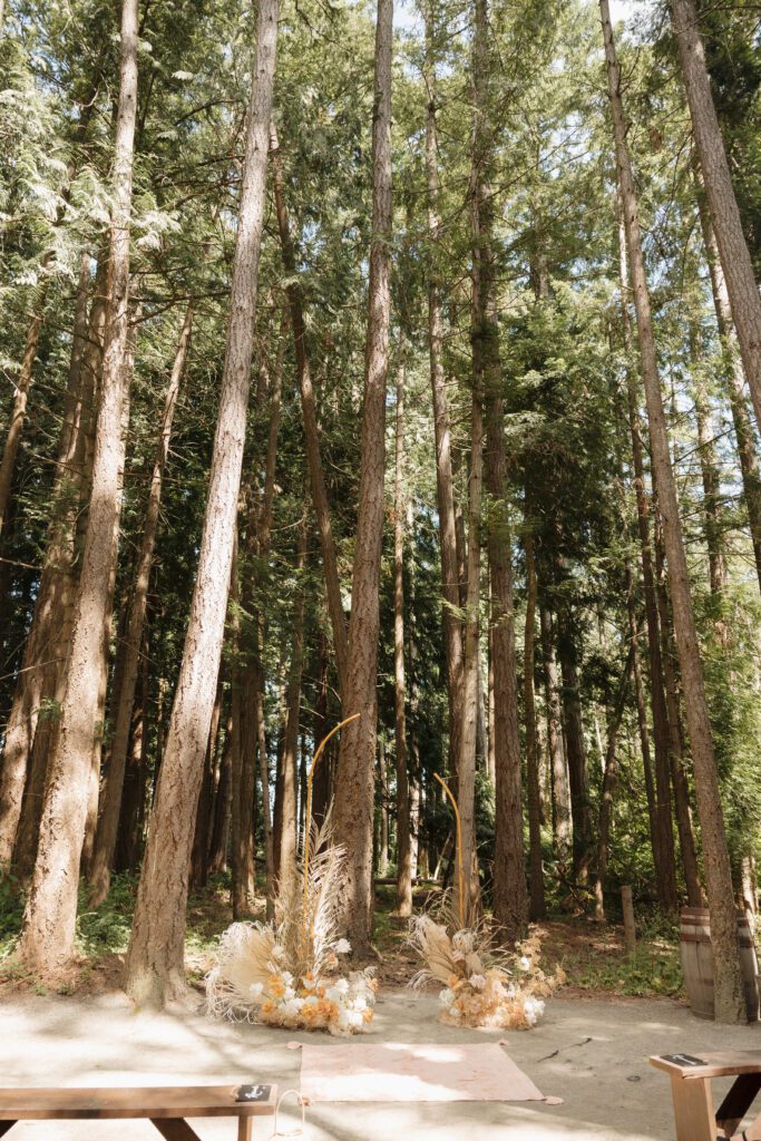 Ceremony alter set up in the middle of forrest in Victoria, BC