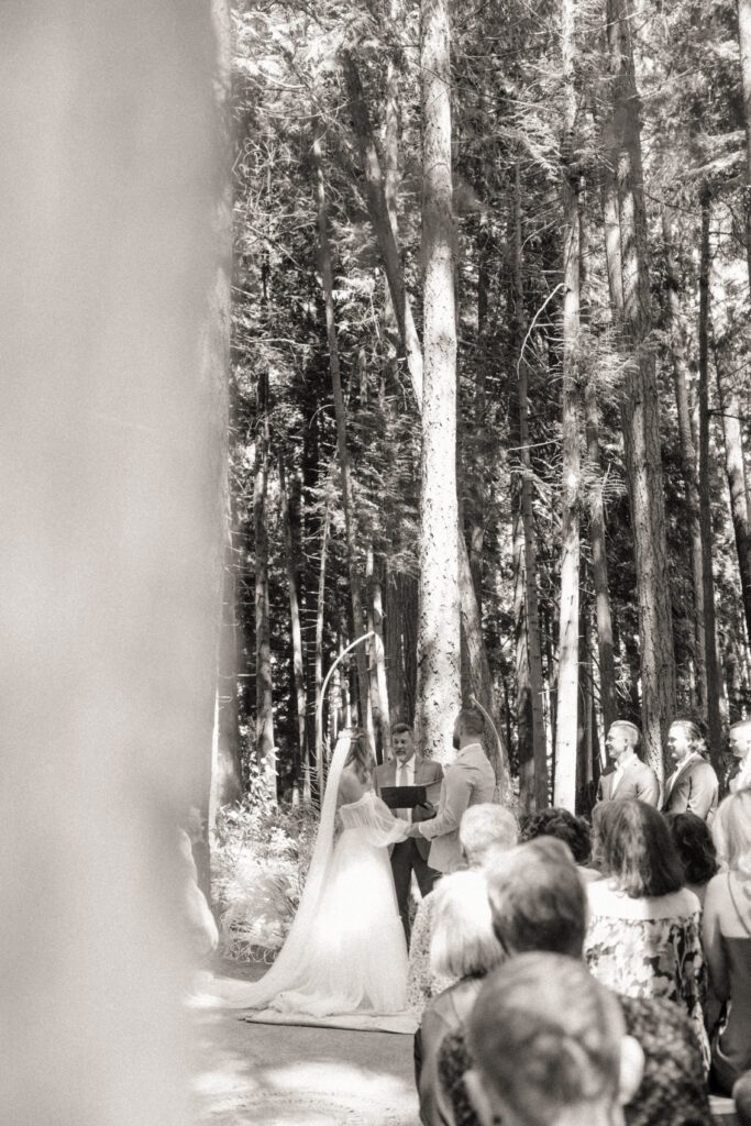 Bride and groom exchanging vows during their romantic forrest wedding ceremony.