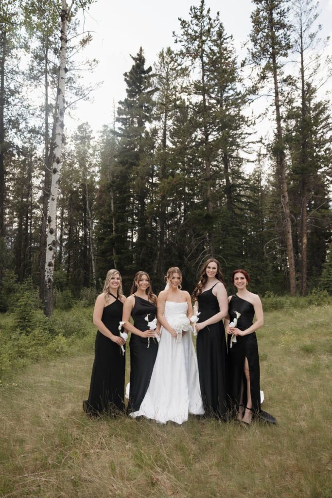 bride and her bridesmaids in mountain portraits